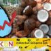 தேங்காயின் விலை அதிகரிப்பு!