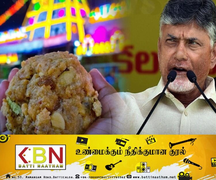 திருப்பதி லட்டில் மாட்டு கொழுப்பு; உறுதியானது ஆய்வறிக்கை!