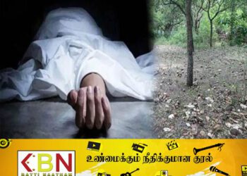 மரம் முறிந்து விழுந்ததில் பெண்ணொருவர் உயிரிழப்பு!