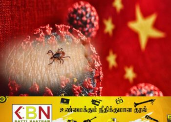 புதிய வகை வைரஸ் சீனாவில் கண்டுபிடிப்பு!