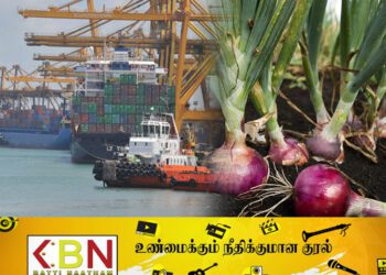 வெங்காயம் இறக்குமதியால் உள்ளூர் உற்பத்தியாளர்கள் பாதிப்பு!