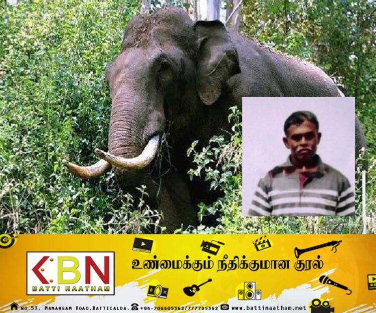 யானை தாக்கியதில் ஒருவர் உயிரிழப்பு!