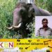 யானை தாக்கியதில் ஒருவர் உயிரிழப்பு!