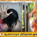 பயிற்சி அளிப்பதாக கூறி சிறுமி துஷ்பிரயோகம்; தேரர் கைது
