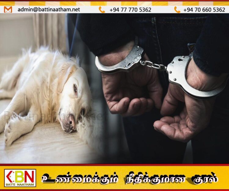 அயல் வீட்டு நாயை சுட்டு கொன்ற ஓய்வுபெற்ற இராணுவ அதிகாரி கைது