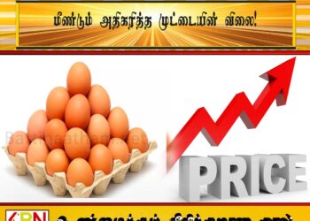 மீண்டும் அதிகரித்த முட்டையின் விலை!