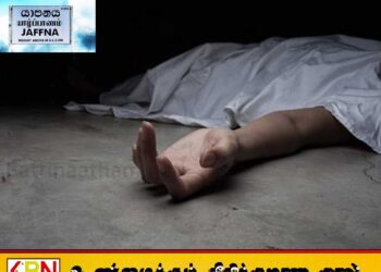 தாயை தனிமையில் விட்டு விட்டு வெளிநாடு சென்ற பிள்ளைகள்; வயோதிப பெண் தவறான முடிவெடுத்து உயிர்மாய்ப்பு