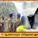 மடுல்சீமையில் வீசப்பட்டதாக கூறப்படும் இளைஞனின் சடலம் மீட்பு!