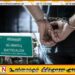 மட்டு சீயோன் தேவாலயத்துக்கு அருகில் சந்தேகத்துக்கு இடமாக நடமாடிய குருநாகலைச் சோர்ந்த இருவர் கைது