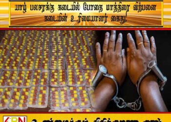 யாழ் பலசரக்கு கடையில் போதை மாத்திரை விற்பனை; கடையின் உரிமையாளர் கைது!