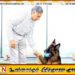 தன் வளர்ப்பு நாய் உட்பட ஊழியர்களுக்கும் சொத்து எழுதி வைத்துள்ள ரத்தன் டாடா