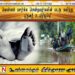 வெள்ளம் பார்க்க சென்றவர்களின் படகு கவிந்து ஒருவர் உயிரிழப்பு!