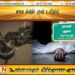 புத்தளம் பகுதியில் மோட்டார் சைக்கிள் ஒன்று கட்டுப்பாட்டை இழந்து விபத்து; ஒருவர் உயிரிழப்பு !