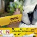 மண்வெட்டியால் தாக்கப்பட்டு நபரொருவர் கொலை!