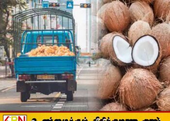 தேங்காயின் விலை உயர்வால் நடமாடும் விற்பனை வேலைத்திட்டத்தை ஆரம்பிக்கவுள்ள அமைச்சு