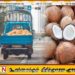 தேங்காயின் விலை உயர்வால் நடமாடும் விற்பனை வேலைத்திட்டத்தை ஆரம்பிக்கவுள்ள அமைச்சு