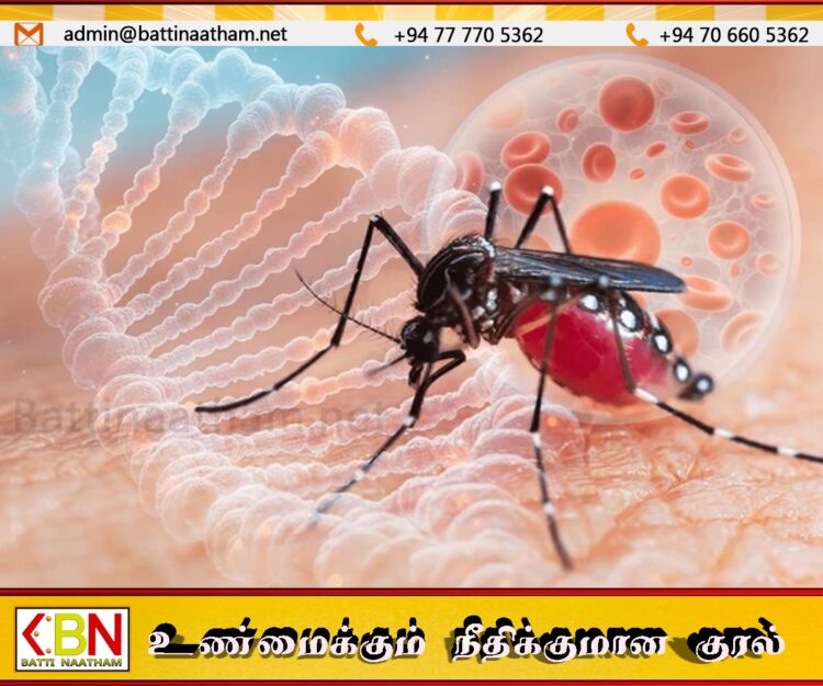 மழையினால் டெங்கு நோய் பரவும் அபாயம்!