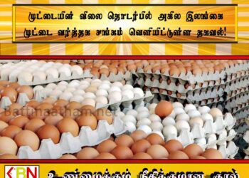 முட்டையின் விலை தொடர்பில் அகில இலங்கை முட்டை வர்த்தக சங்கம் வெளியிட்டுள்ள தகவல்!