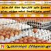 முட்டையின் விலை தொடர்பில் அகில இலங்கை முட்டை வர்த்தக சங்கம் வெளியிட்டுள்ள தகவல்!