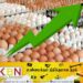 40 ரூபாவை கடந்துள்ள முட்டையின் விலை!