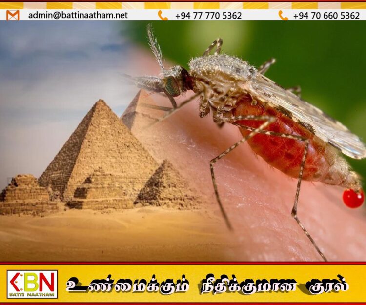 மலேரியா இல்லாத நாடாக மாறியது எகிப்து