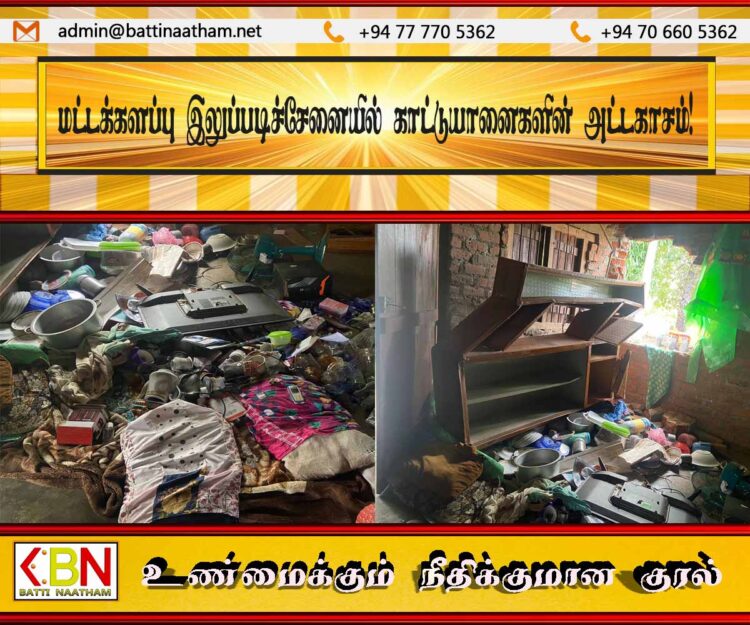 மட்டக்களப்பு இலுப்படிச்சேனையில் காட்டுயானைகளின் அட்டகாசம்!