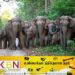யானைத் தாக்குதல் குறைவடைந்ததற்கு நாம் மேற்கொண்ட நடவடிக்கைகளே காரணம் என வனவிலங்கு பாதுகாப்பு திணைக்களம் தெரிவிப்பு!