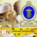 தேங்காய் எண்ணெய் தொடர்பில் அச்சம்; பொதுச் சுகாதார பரிசோதகர்கள் சங்கம் தகவல்!