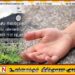 களனி பல்கலைக்கழக மாணவன் விடுதியின் மேல்தளத்தில் இருந்து விழுந்து உயிரிழப்பு