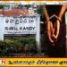 கண்டியில் இரத்தின கற்களுடன் மூவர் கைது