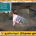 காத்தான்குடி கடற்கரையில் கரையொதுங்கும் ஊம்பல் மீன்கள்