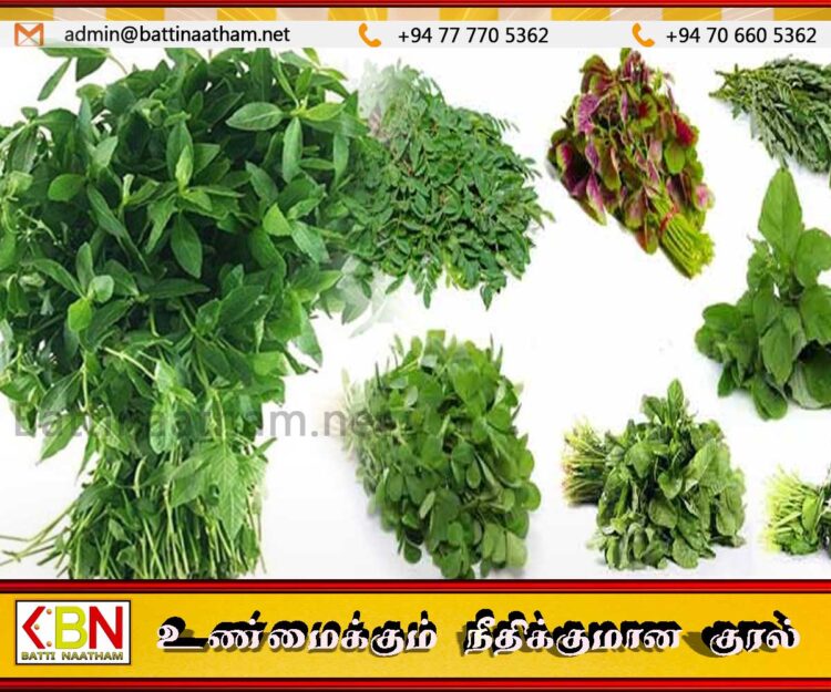 கீரை வகைகளை உண்பதை தவிர்க்குமாறு ஊட்டச்சத்து நிபுணர்கள் தெரிவிப்பு!