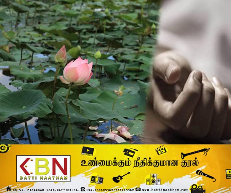 தாமரை மலர் பறிக்கச் சென்ற பெண் நீரில் மூழ்கி உயிரிழப்பு!