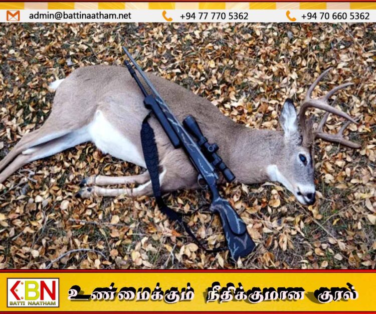 ஜெயராஜ்புர பகுதியில் விற்பனைக்காக வைக்கப்பட்டிருந்த வன விலங்குகளின் ஒரு தொகை இறைச்சி மீட்பு!