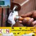 முல்லைத்தீவு பகுதியில் திடீர் சுற்றி வளைப்பை மேற்கொண்ட சுகாதார பரிசோதகர்கள்; இரண்டு கடைகளுக்கு சீல்!