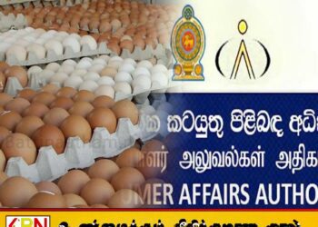 முட்டைகளைப் பதுக்கும் வர்த்தகர்களுக்கு விடுக்கப்பட்டுள்ள எச்சரிக்கை