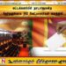 மட்டக்களப்பில் நாடாளுமன்ற தேர்தலுக்காக 392 வேட்பாளர்கள் களத்தில்!