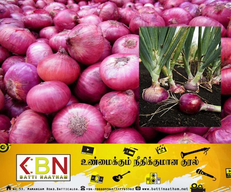 பெரிய வெங்காயத்தின் விலையை அதிகரிக்க வேண்டுமென அரசிடம் விவசாயிகள் கோரிக்கை!