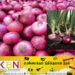பெரிய வெங்காயத்தின் விலையை அதிகரிக்க வேண்டுமென அரசிடம் விவசாயிகள் கோரிக்கை!