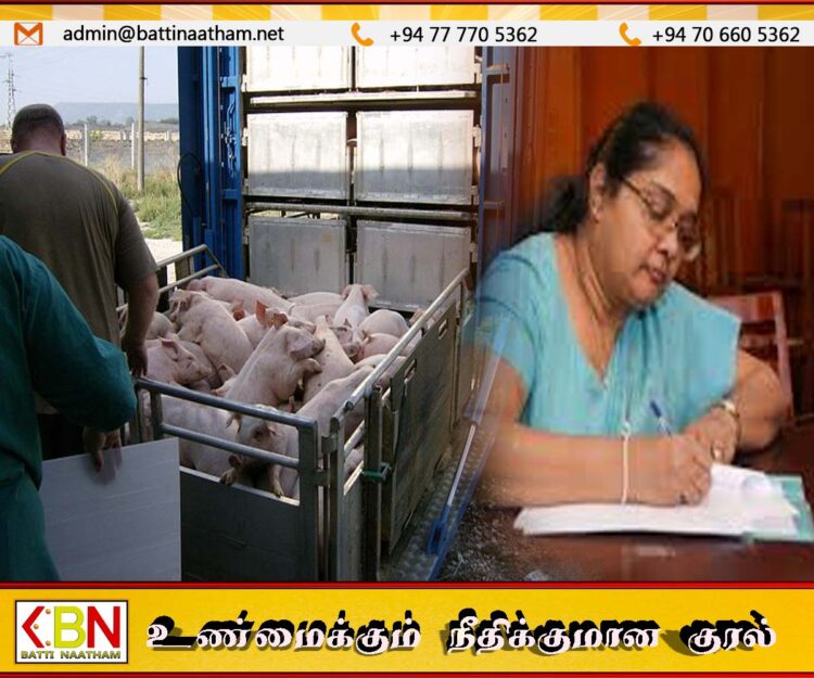 மாவட்டங்களுக்கிடையே பன்றிகளை கொண்டு செல்ல தடை !