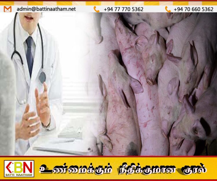 இறக்கும் பன்றிகளின் இறைச்சிகளை உண்பதை தவிர்க்குமாறு கால்நடை வைத்திய அதிகாரிகள் சங்கம் எச்சரிக்கை !