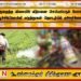 குறைந்த விலையில் விற்பனை செய்யப்படும் போலி பூச்சிக்கொல்லி மருந்துகள் தொடர்பில் எச்சரிக்கை!