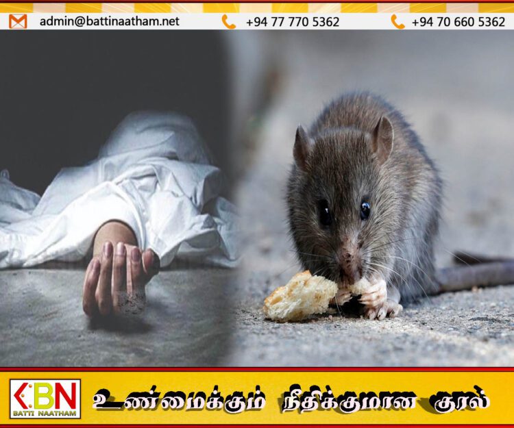 யாழ்ப்பாணத்தில் எலிகாய்ச்சல் காரணமாக இளம் குடும்பஸ்தர் ஒருவர் பரிதாபமாக உயிரிழந்துள்ளார்.