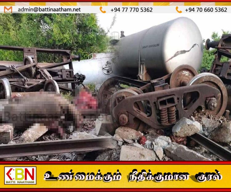 காட்டு யானைகள் மீது மோதி எரிபொருள் ரயில் தடம் புரள்வு; இரண்டு காட்டு யானைகள் உயிரிழப்பு