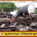 காட்டு யானைகள் மீது மோதி எரிபொருள் ரயில் தடம் புரள்வு; இரண்டு காட்டு யானைகள் உயிரிழப்பு