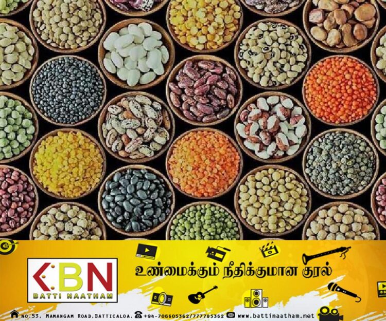 தானியங்கள் உட்பட பல்வேறு பயிர்களின் உற்பத்தியை அதிகரிக்க வேலைத்திட்டம்!