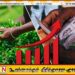 பெருந்தோட்ட மக்களுக்கான தீபாவளி கொடுப்பனவு 10000 ரூபாவால் அதிகரிப்பு