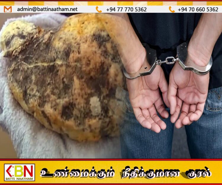 200 கோடி ரூபா பெறுமதியான திமிங்கில வாந்தியுடன் ஒருவர் கைது!