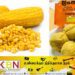 திரிபோஷா நிறுவனம் தொடர்பில் ஜனாதிபதிக்கு கடிதம்!