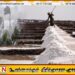 மழை காரணமாக நாட்டில் உப்பிற்கு தட்டுப்பாடு ஏற்படும் வாய்ப்பு